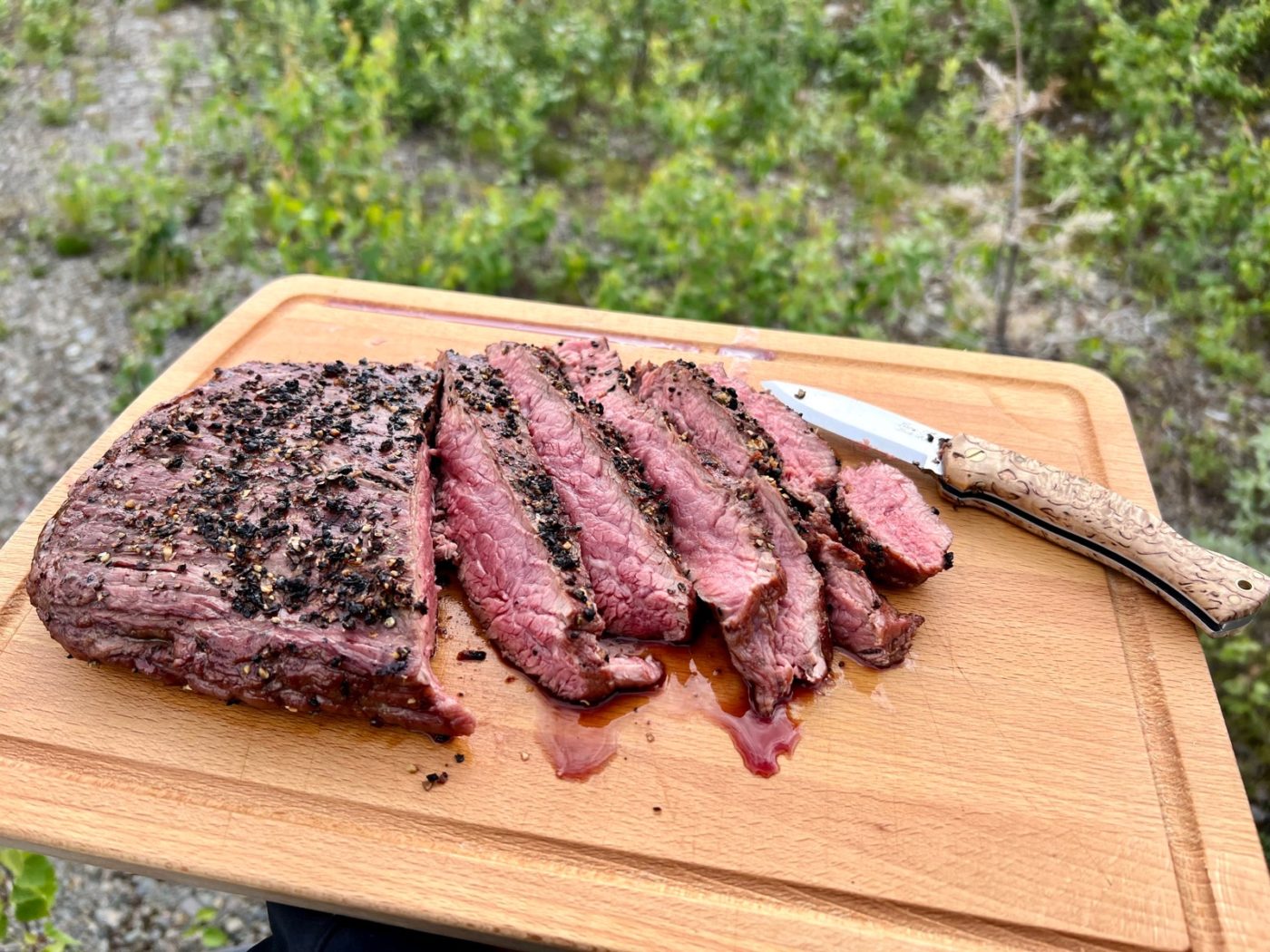 3 Lappen ziehen mit dem Wohnmobil durch Lappland 21 Flanksteak im Grünen