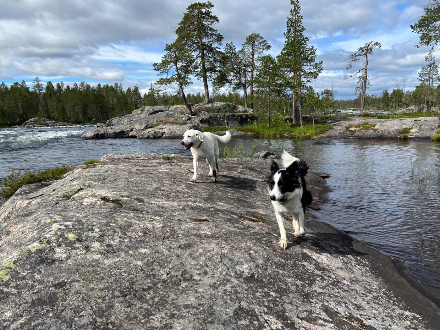 3 Lappen ziehen mit dem Wohnmobil durch Lappland 31 Trollforsen mit Wohnmobil