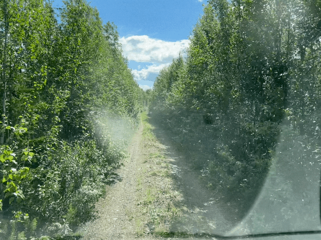 3 Lappen ziehen mit dem Wohnmobil durch Lappland 51 Abwege in Lappland