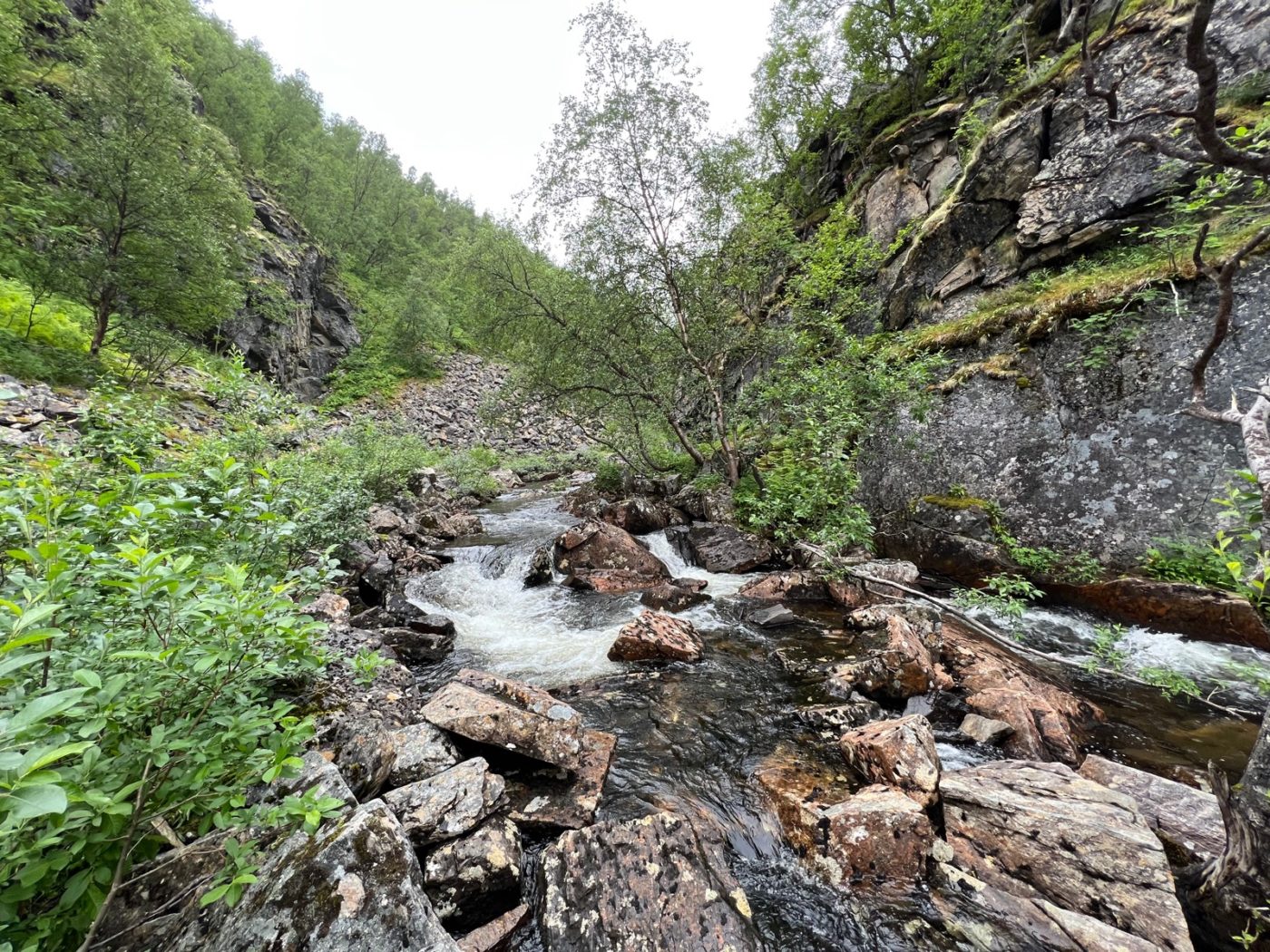 Norwegen - Ein Wohnmobil Land und perfekt zum Wandern 6 Wandern in Norwegen