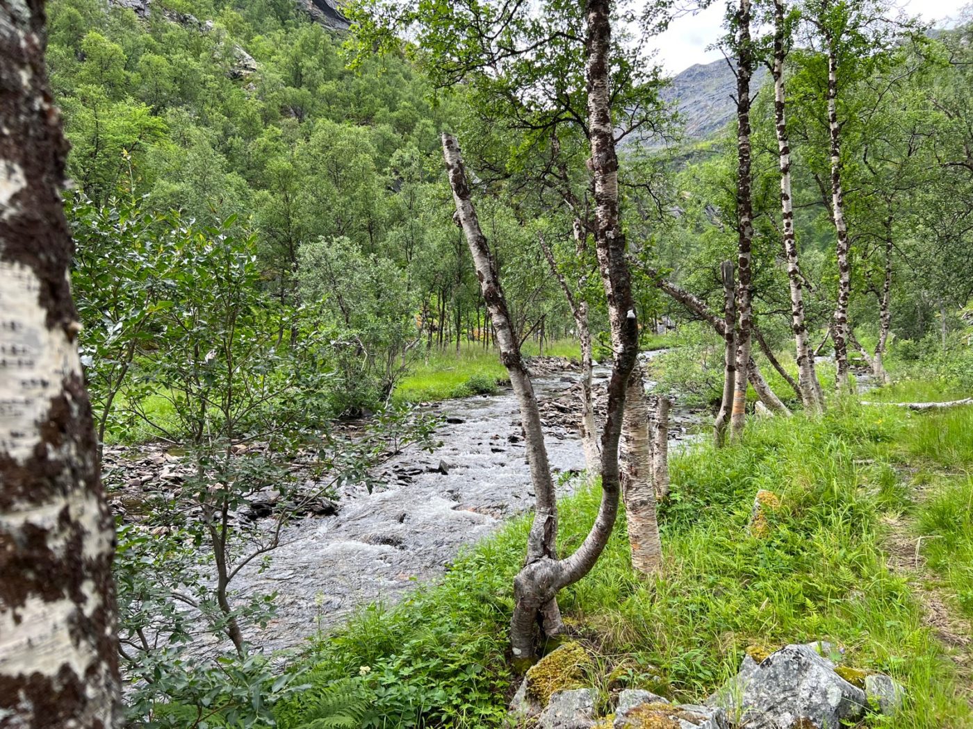 Norwegen - Ein Wohnmobil Land und perfekt zum Wandern 8 Wandern in Norwegen