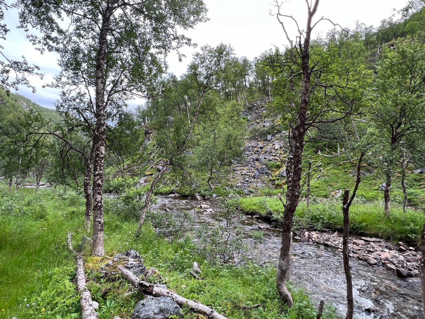 Norwegen - Ein Wohnmobil Land und perfekt zum Wandern 9 Wandern in Norwegen