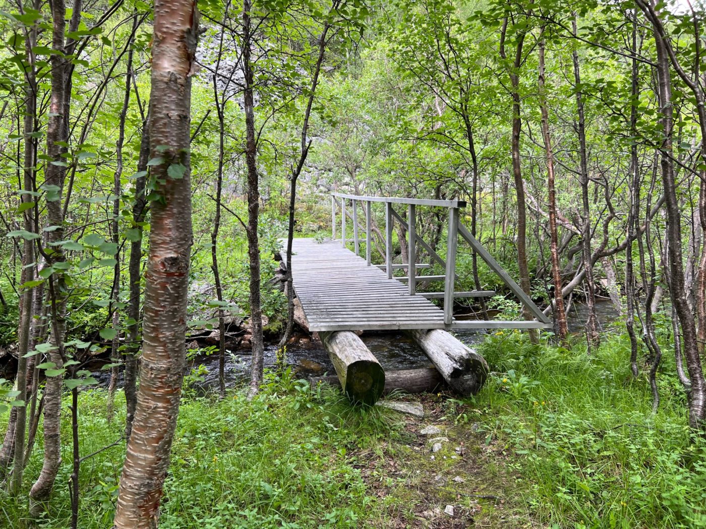 Norwegen - Ein Wohnmobil Land und perfekt zum Wandern 14 Wandern in Norwegen