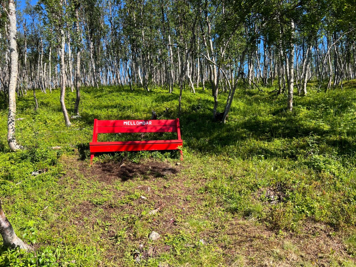 Norwegen - Ein Wohnmobil Land und perfekt zum Wandern 47 Wandern in Norwegen