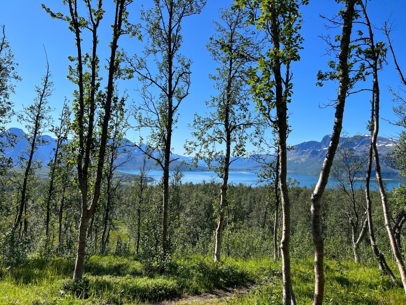 Norwegen - Ein Wohnmobil Land und perfekt zum Wandern 48 Wandern in Norwegen