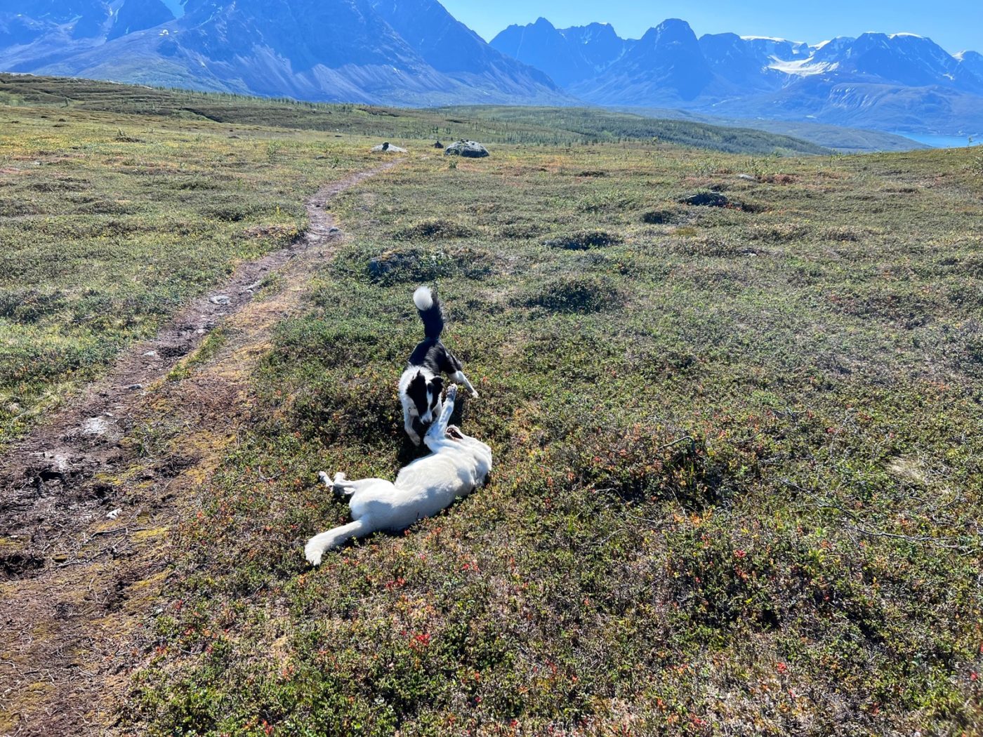 Norwegen - Ein Wohnmobil Land und perfekt zum Wandern 55 Wandern in Norwegen