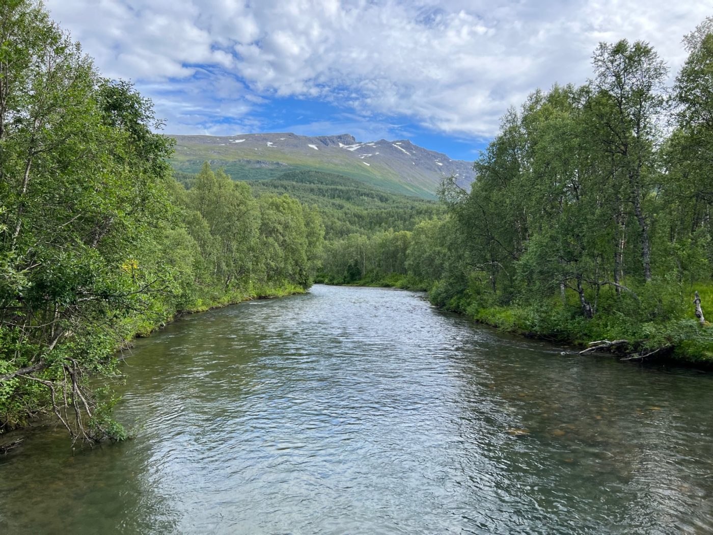 Das Venedig des Nordens - und Idylle pur! Camping in Norwegen 9 Camping in Norwegen