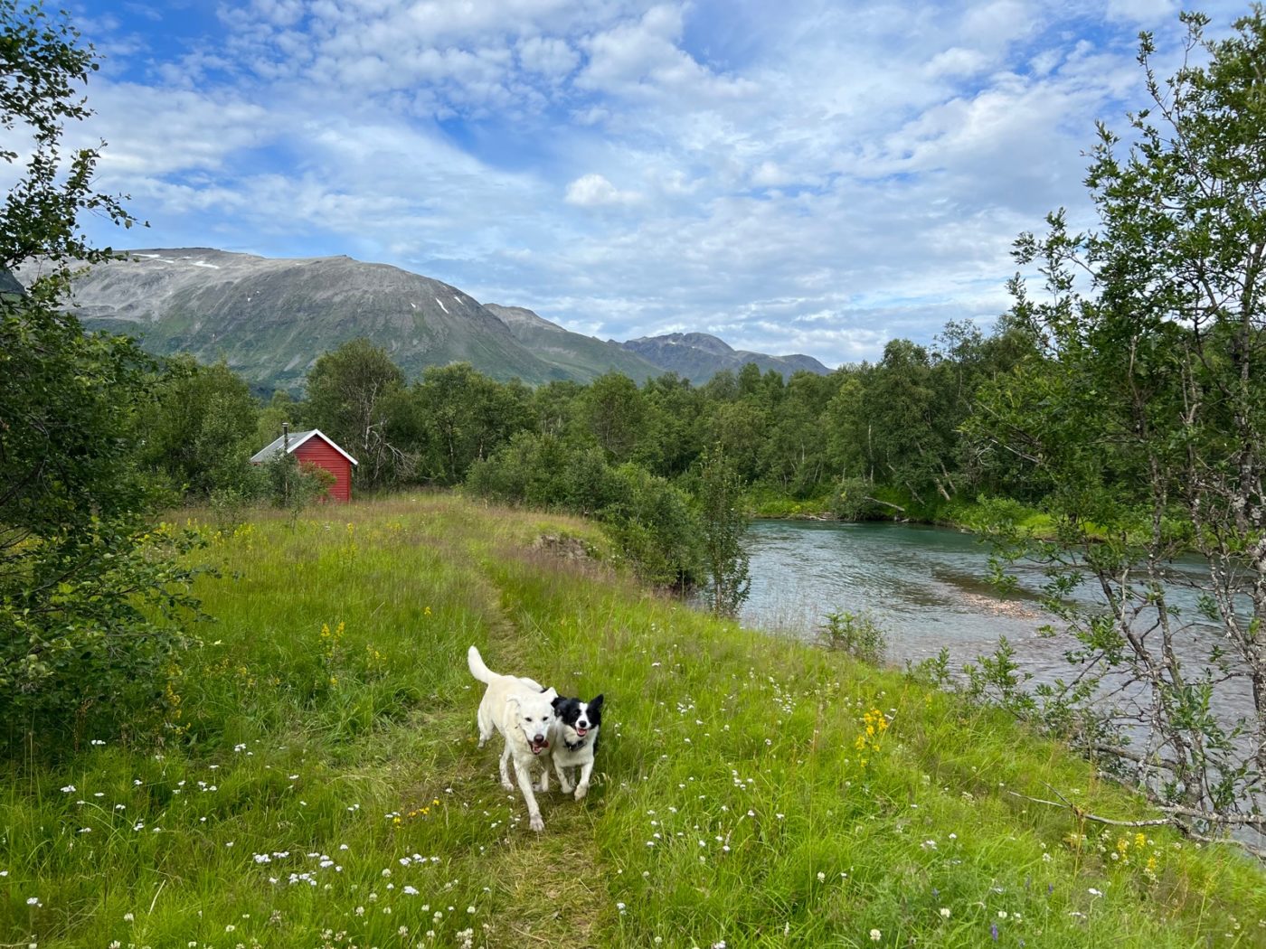 Das Venedig des Nordens - und Idylle pur! Camping in Norwegen 11 Camping in Norwegen