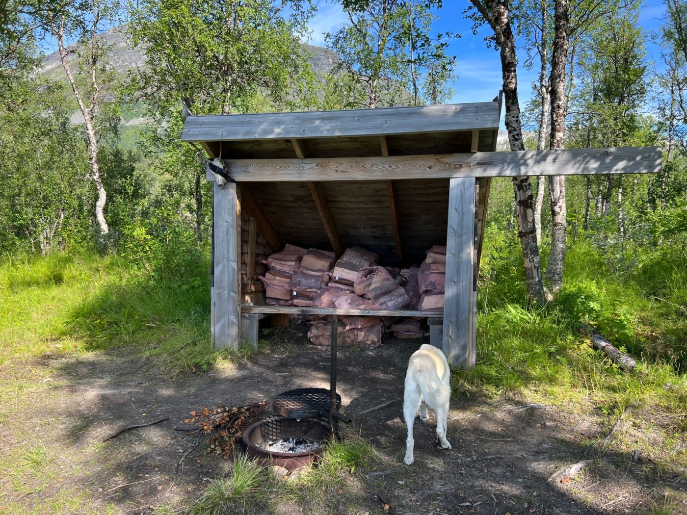 Das Venedig des Nordens - und Idylle pur! Camping in Norwegen 14 Camping in Norwegen