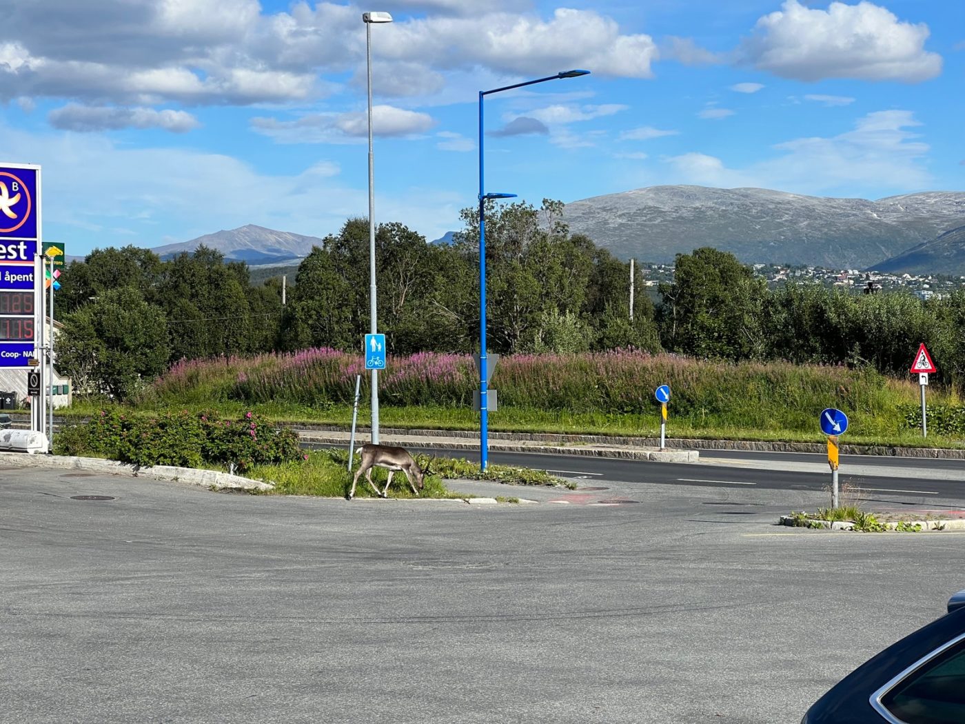 Das Venedig des Nordens - und Idylle pur! Camping in Norwegen 45 Tromsø in Norwegen