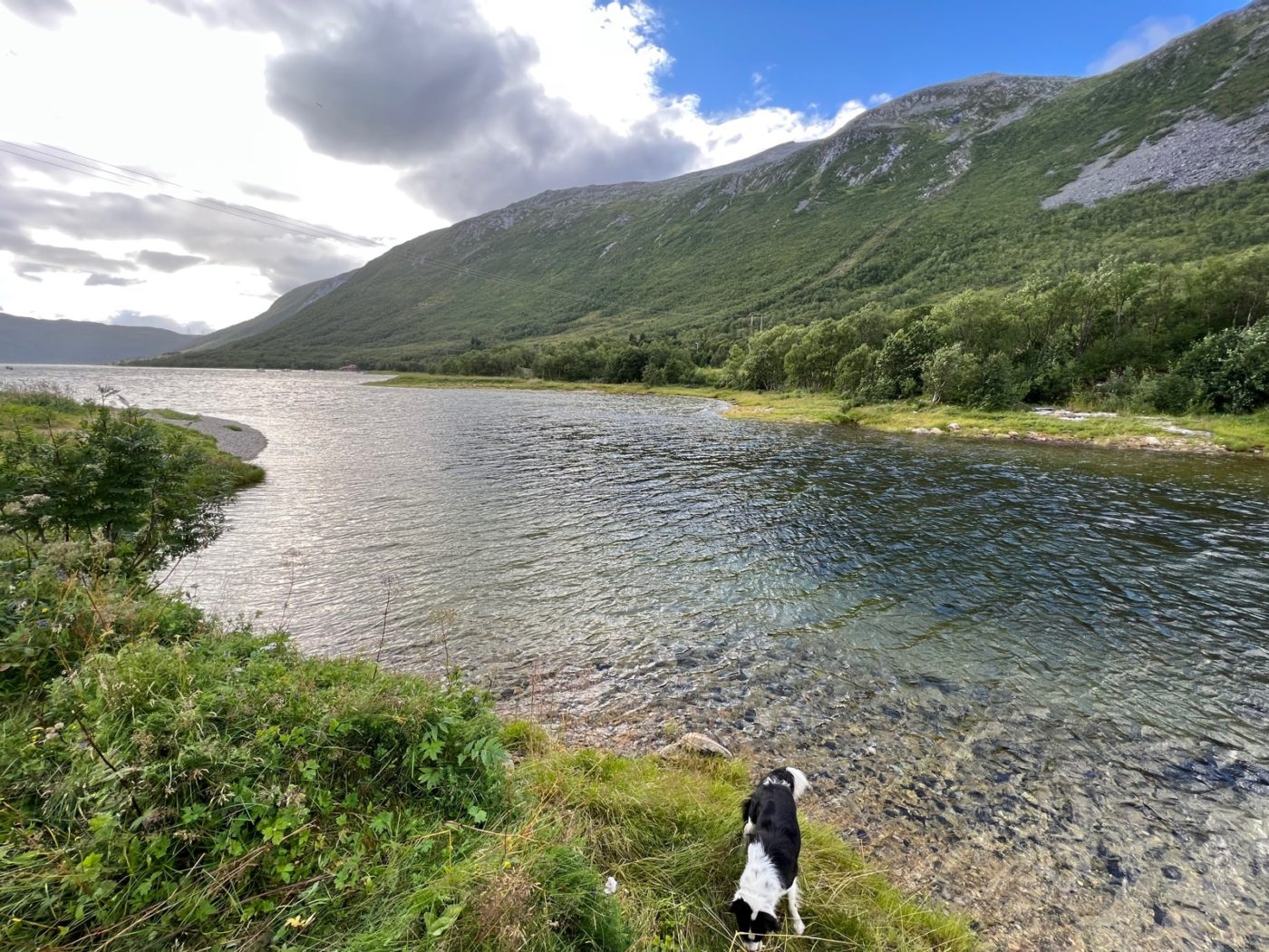 Das Venedig des Nordens - und Idylle pur! Camping in Norwegen 57 Norwegen Camping
