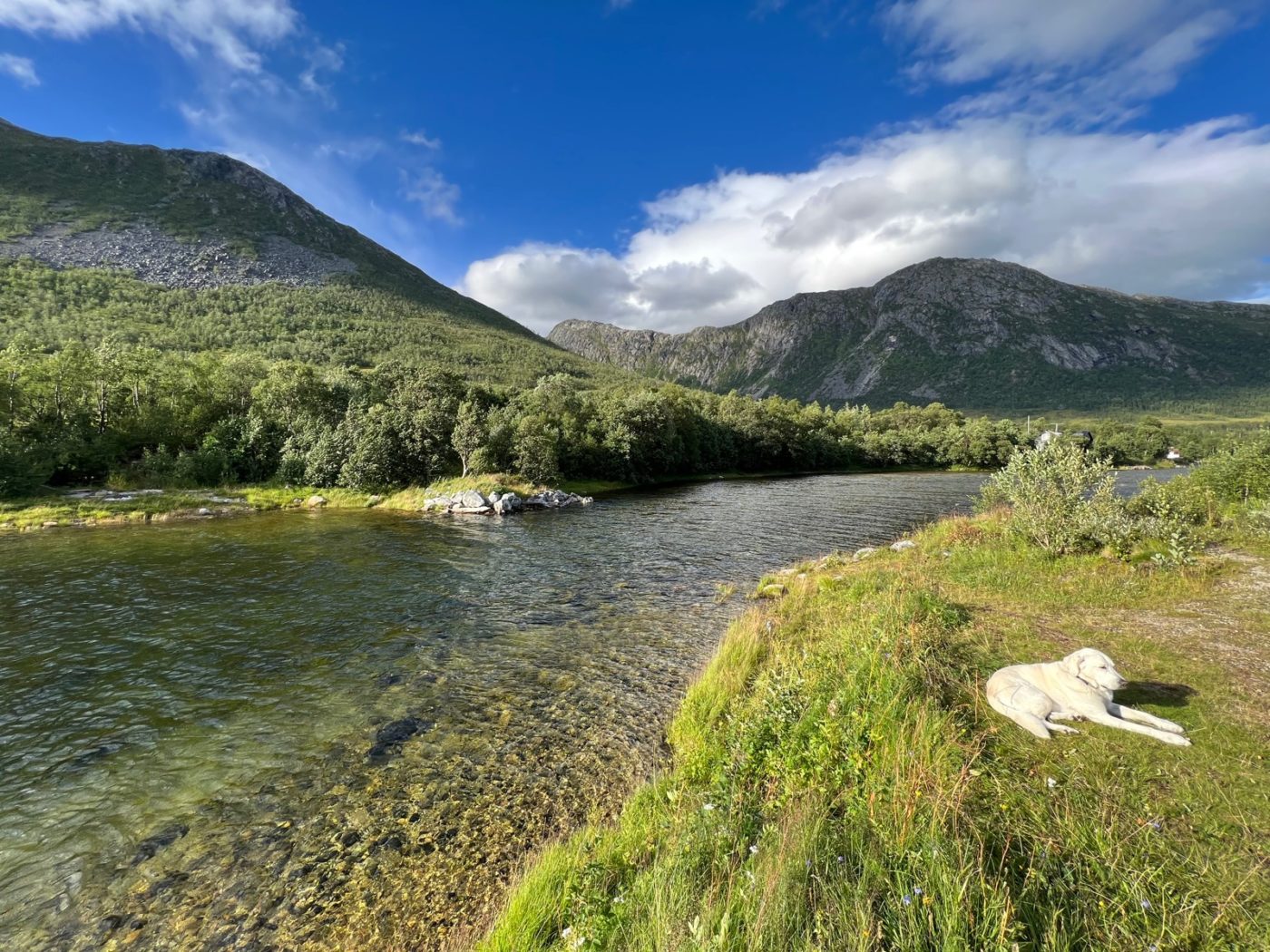 Das Venedig des Nordens - und Idylle pur! Camping in Norwegen 58 Norwegen Camping