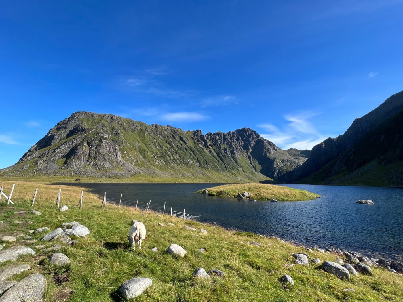 Die Lofoten mit dem Wohnmobil bereisen 59 Lofoten mit dem Wohnmobil