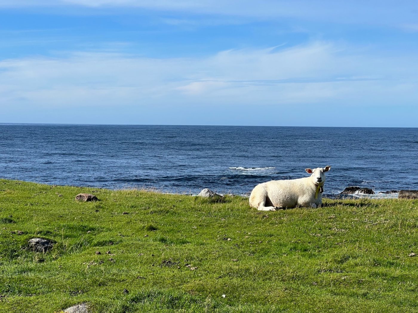 Die Lofoten mit dem Wohnmobil bereisen 60 Lofoten mit dem Wohnmobil