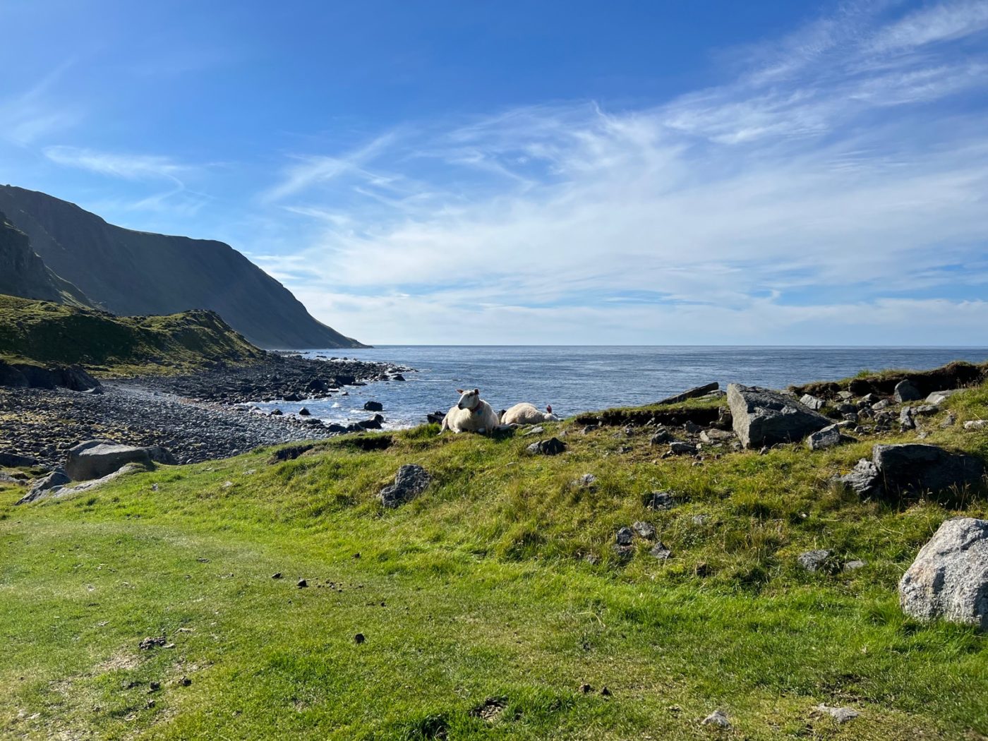 Die Lofoten mit dem Wohnmobil bereisen 62 Lofoten mit dem Wohnmobil