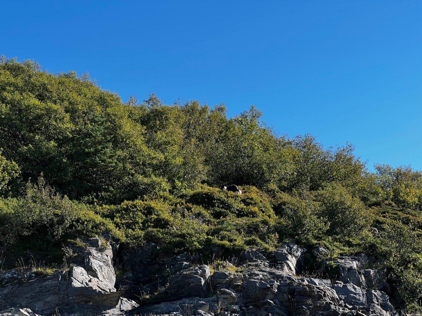 Norwegen - Natur soweit das Auge reicht 3 Norwegen mit dem Wohnmobil
