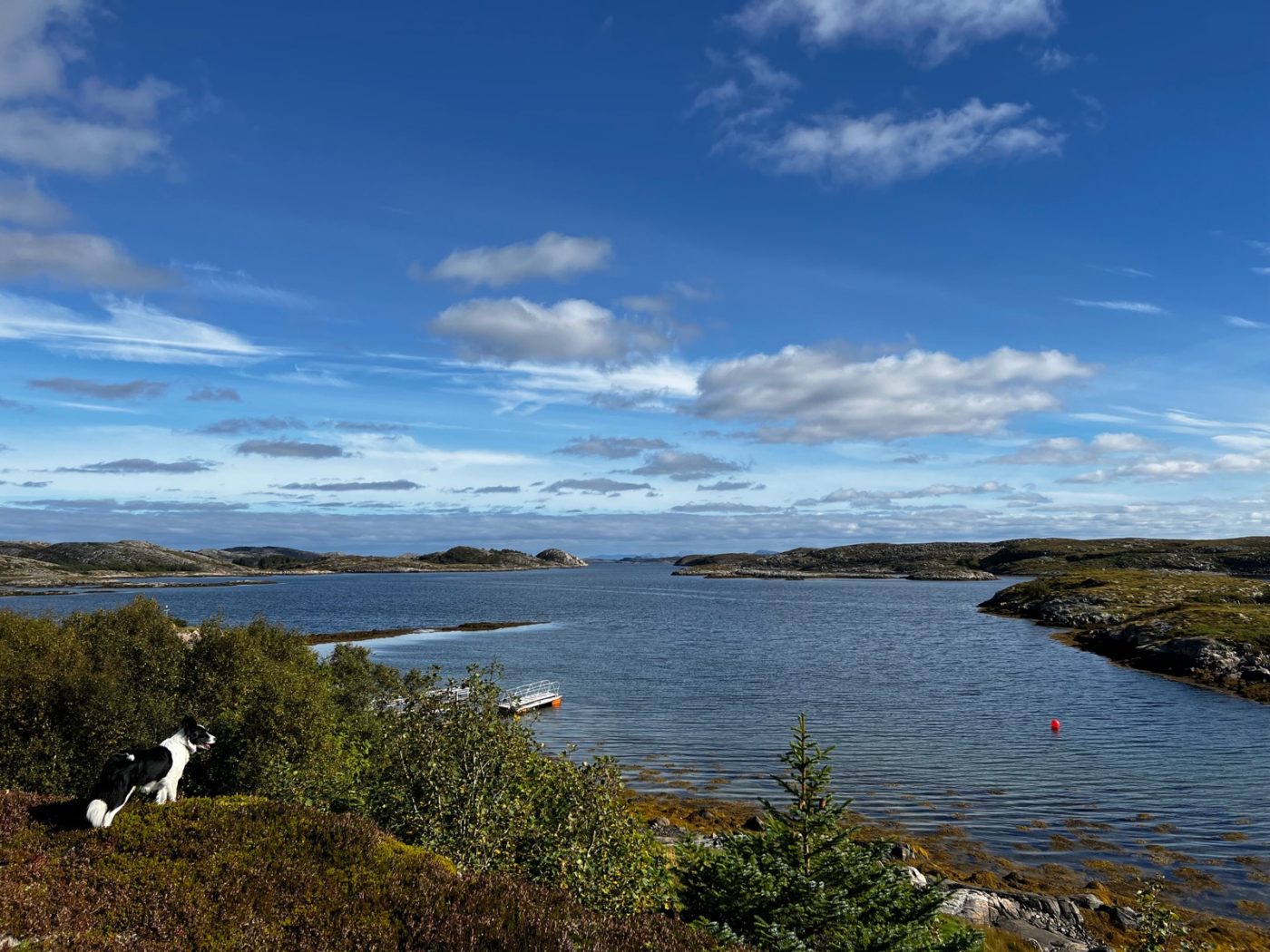 Norwegen - Natur soweit das Auge reicht 16 Norwegen mit dem Wohnmobil