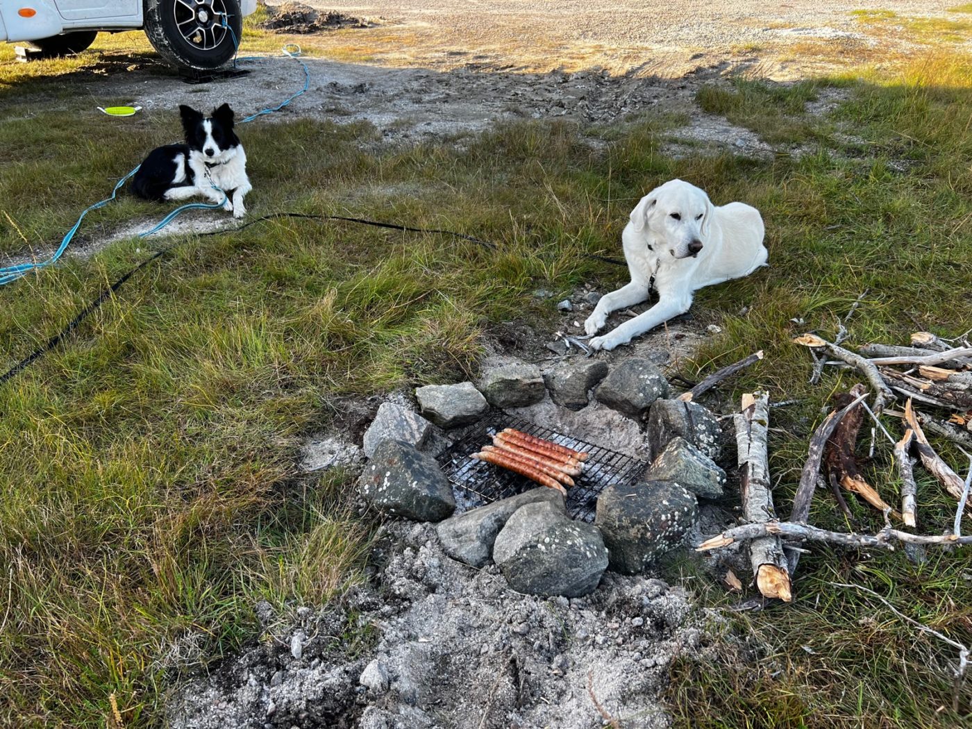 Norwegen - Natur soweit das Auge reicht 20 Norwegen mit dem Wohnmobil