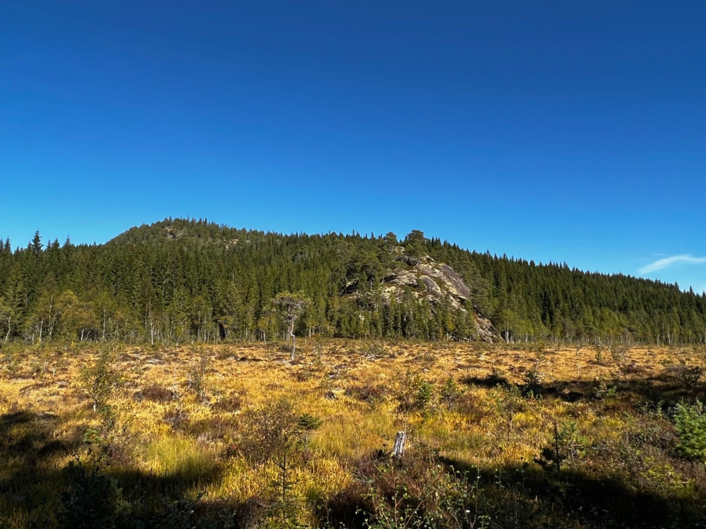 Norwegen - Natur soweit das Auge reicht 31 Norwegen mit dem Wohnmobil