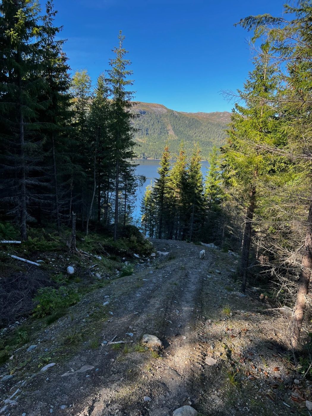 Norwegen - Natur soweit das Auge reicht 33 Norwegen mit dem Wohnmobil