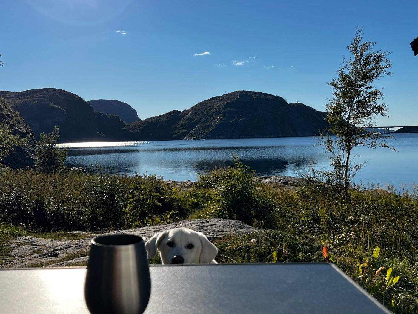 Norwegen - Natur soweit das Auge reicht 37 Norwegen mit dem Wohnmobil