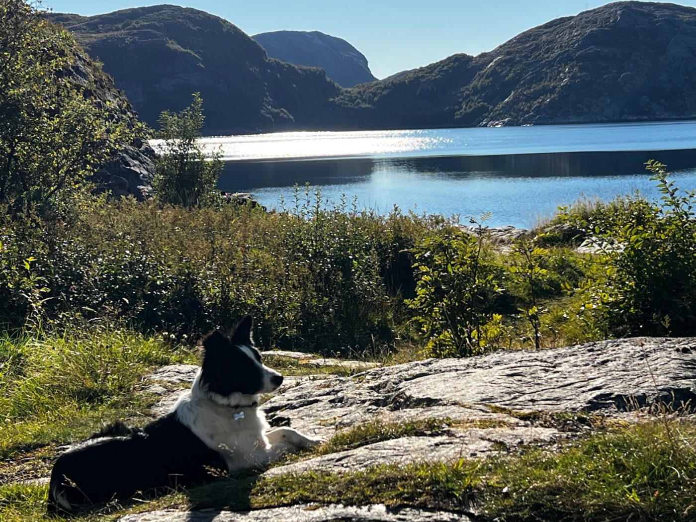 Norwegen - Natur soweit das Auge reicht 39 Norwegen mit dem Wohnmobil
