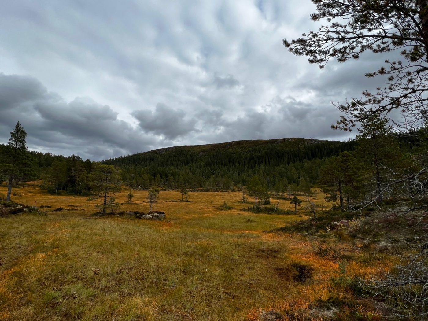 Norwegen - Natur soweit das Auge reicht 51 Norwegen mit dem Wohnmobil