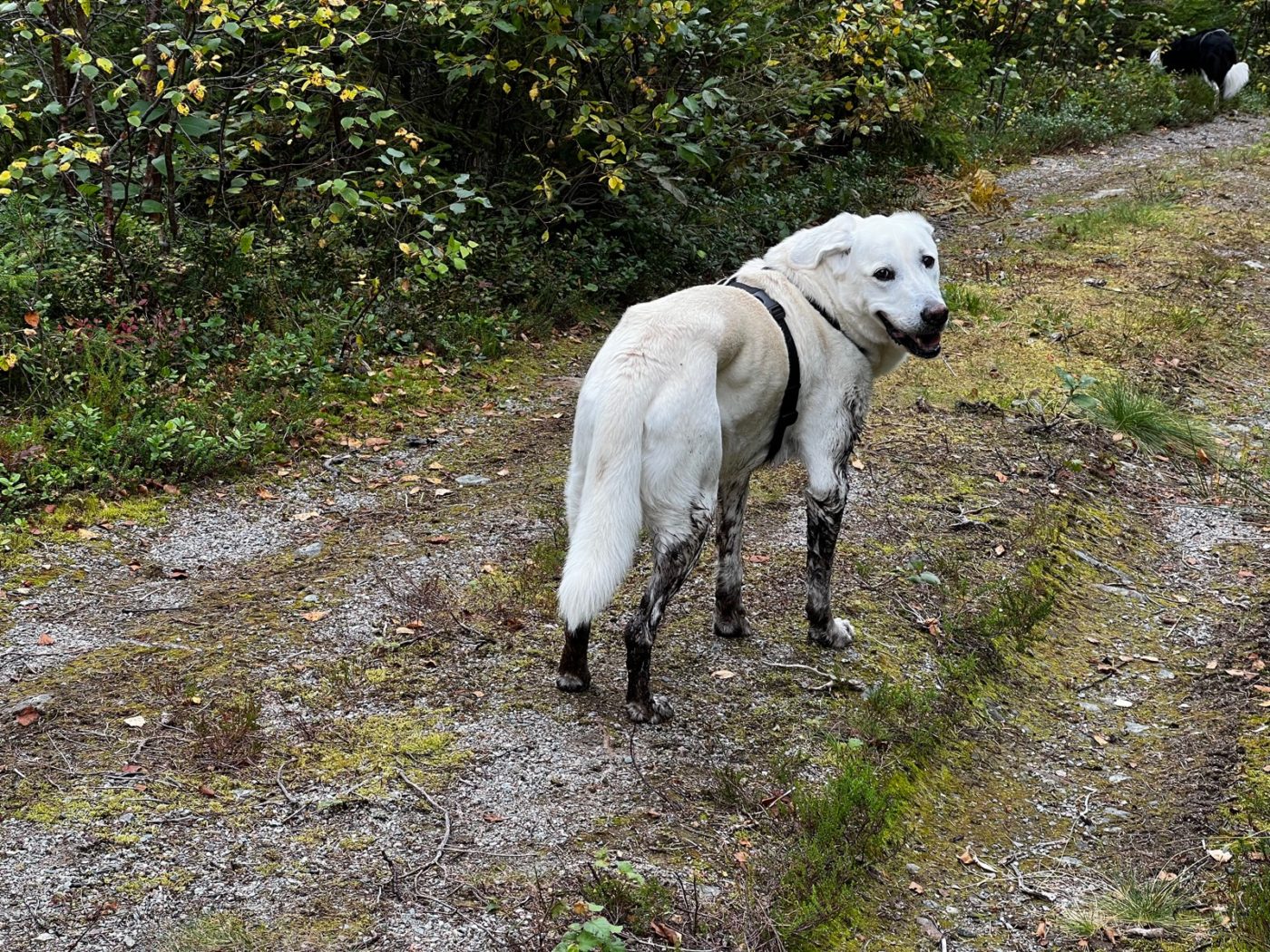 Norwegen - Natur soweit das Auge reicht 52 Norwegen mit dem Wohnmobil