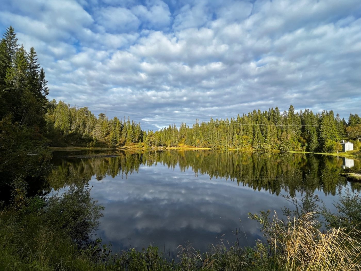 Norwegen - Natur soweit das Auge reicht 55 Norwegen mit dem Wohnmobil