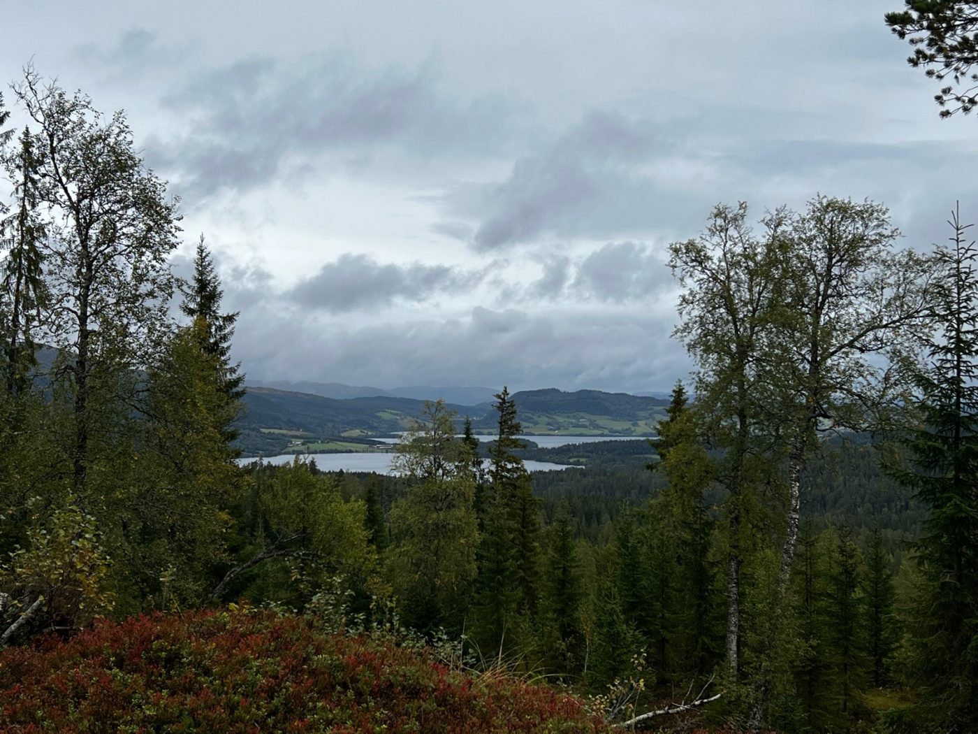 Mit dem Wohnmobil von Trondheim über die Atlantik Strasse 28 Norwegen mit dem Wohnmobil