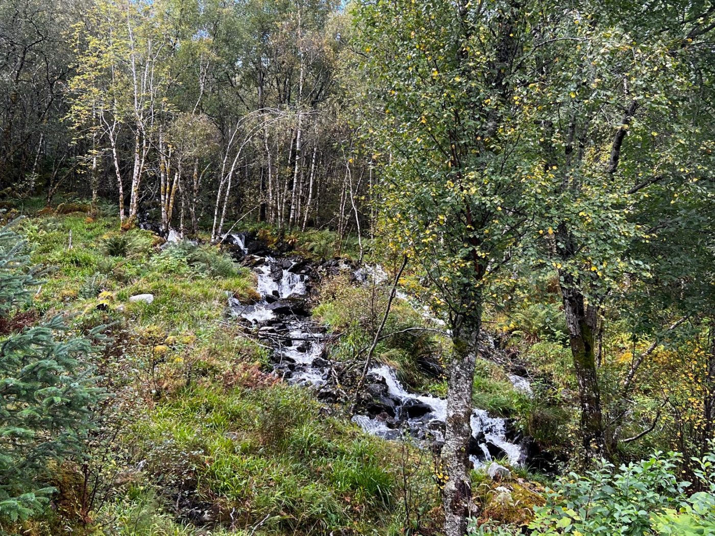 Mit dem Wohnmobil von Trondheim über die Atlantik Strasse 33 Wandern in Norwegen