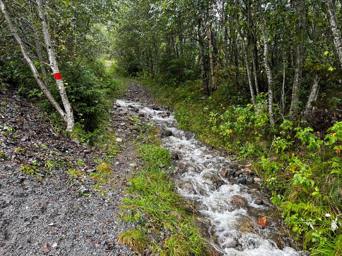 Mit dem Wohnmobil von Trondheim über die Atlantik Strasse 48 Wandern in Norwegen