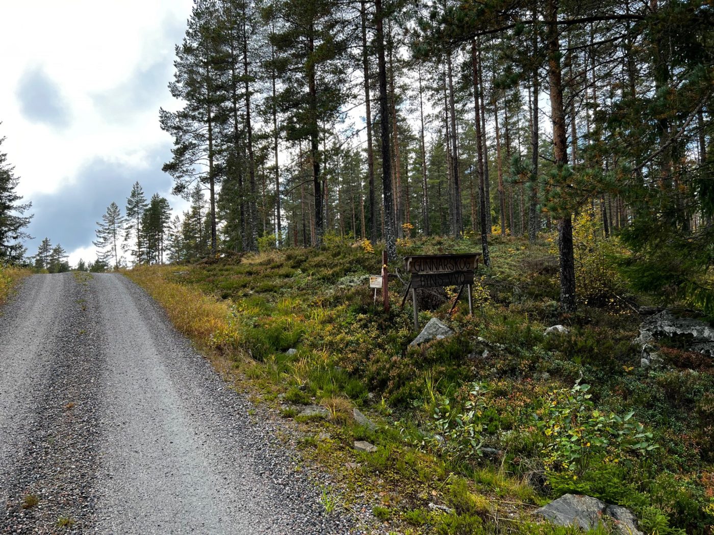 Über die Trollstigen zum Geiranger Fjord 60 Schweden mit dem Wohnmobil