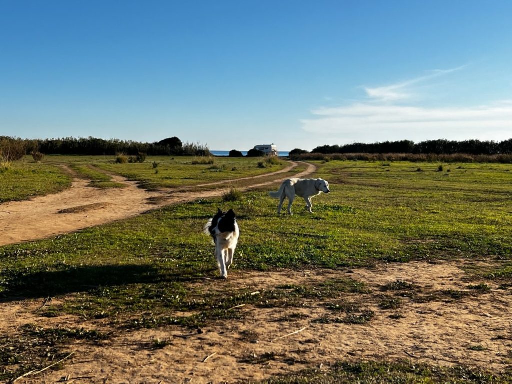 Ab nach Marokko it dem Wohnmobil 9 Spanien mit dem Wohnmobil