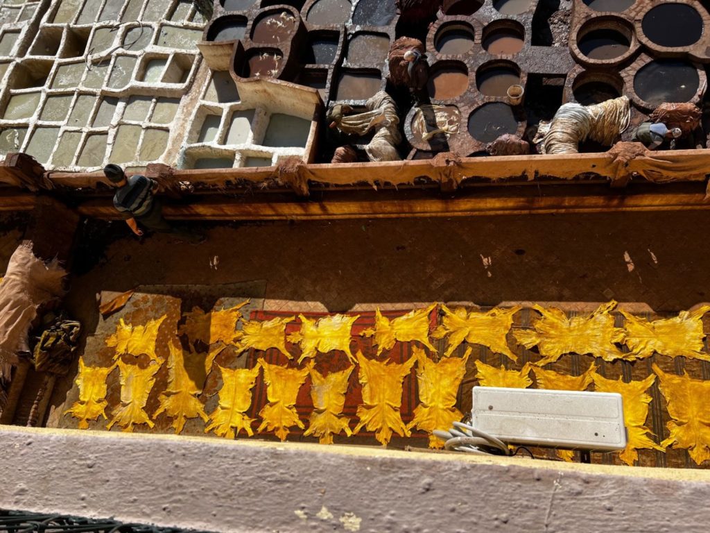 Von Meknes nach Fes und weiter durch Marokko 52 Meknes Fes in Marokko