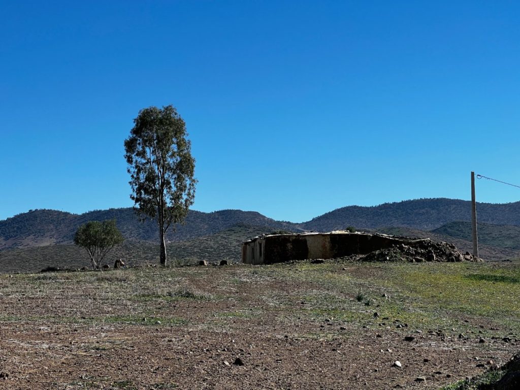 Von Meknes nach Fes und weiter durch Marokko 70 Wildnis von Marokko