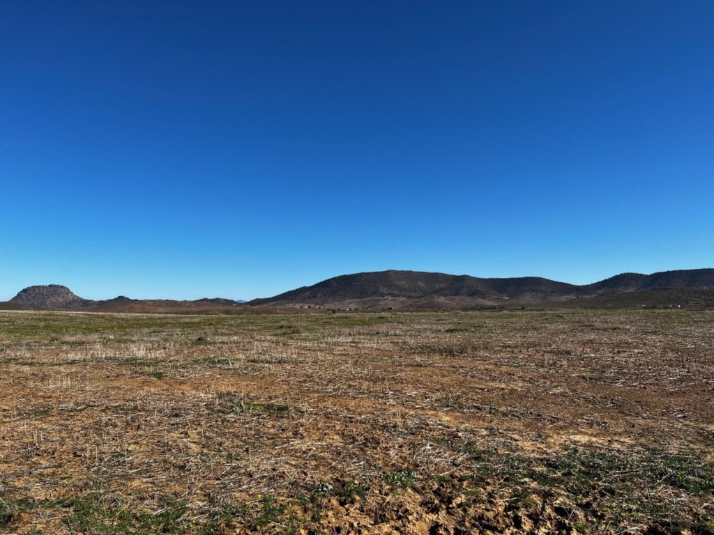 Von Meknes nach Fes und weiter durch Marokko 71 Wildnis von Marokko