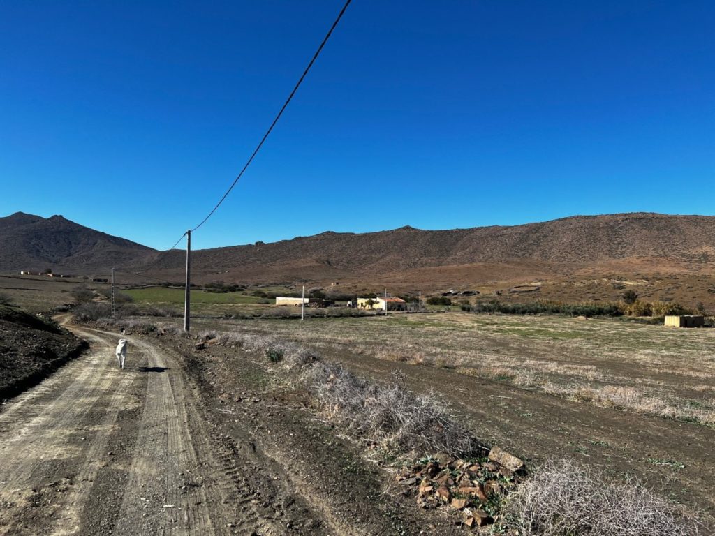 Von Meknes nach Fes und weiter durch Marokko 73 Wildnis von Marokko