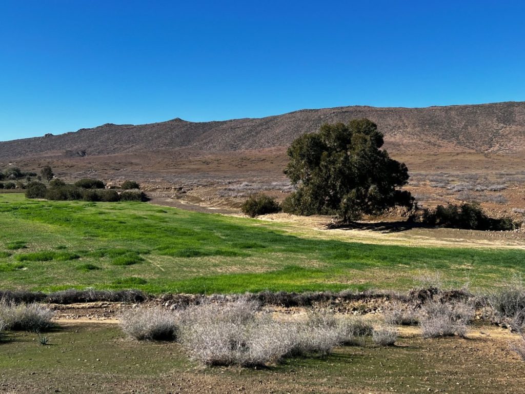 Von Meknes nach Fes und weiter durch Marokko 76 Wildnis von Marokko
