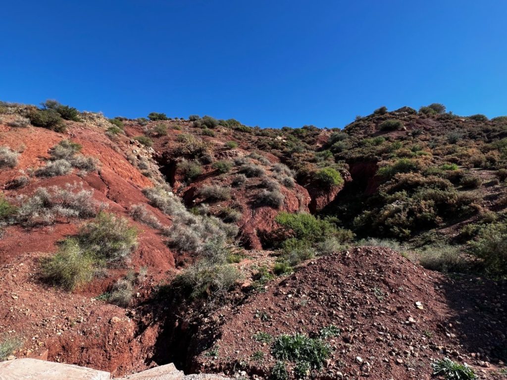 Von Meknes nach Fes und weiter durch Marokko 87 Wildnis von Marokko