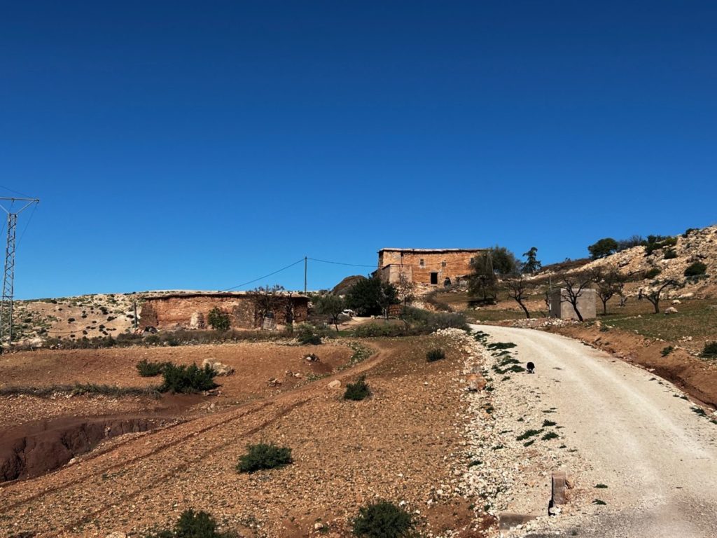 Von Meknes nach Fes und weiter durch Marokko 88 Wildnis von Marokko