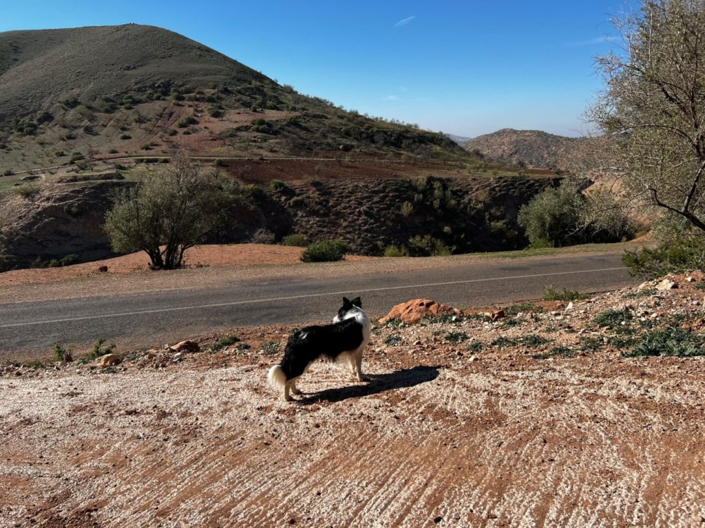 Von Meknes nach Fes und weiter durch Marokko 91 Wildnis von Marokko