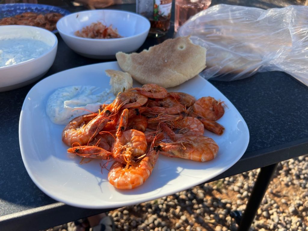 Von Meknes nach Fes und weiter durch Marokko 98 Wildnis von Marokko