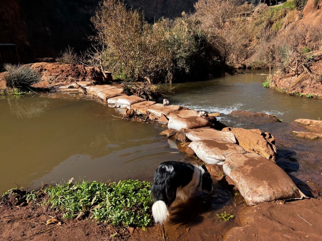 Die Wasserfälle von Ouzoud bis nach Marrakesh 16 Ouzoud Wasserfälle