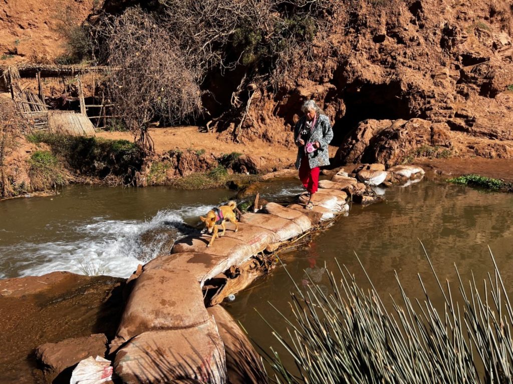 Die Wasserfälle von Ouzoud bis nach Marrakesh 17 Ouzoud Wasserfälle