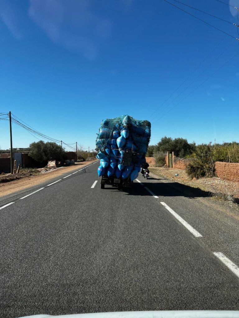 Die Wasserfälle von Ouzoud bis nach Marrakesh 24 Marrakesh mit dem Wohnmobil