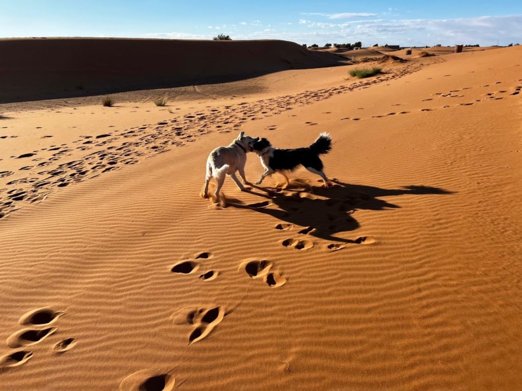Atlasgebirge mit dem Wohnmobil 121 Sahara mit dem Wohnmobil