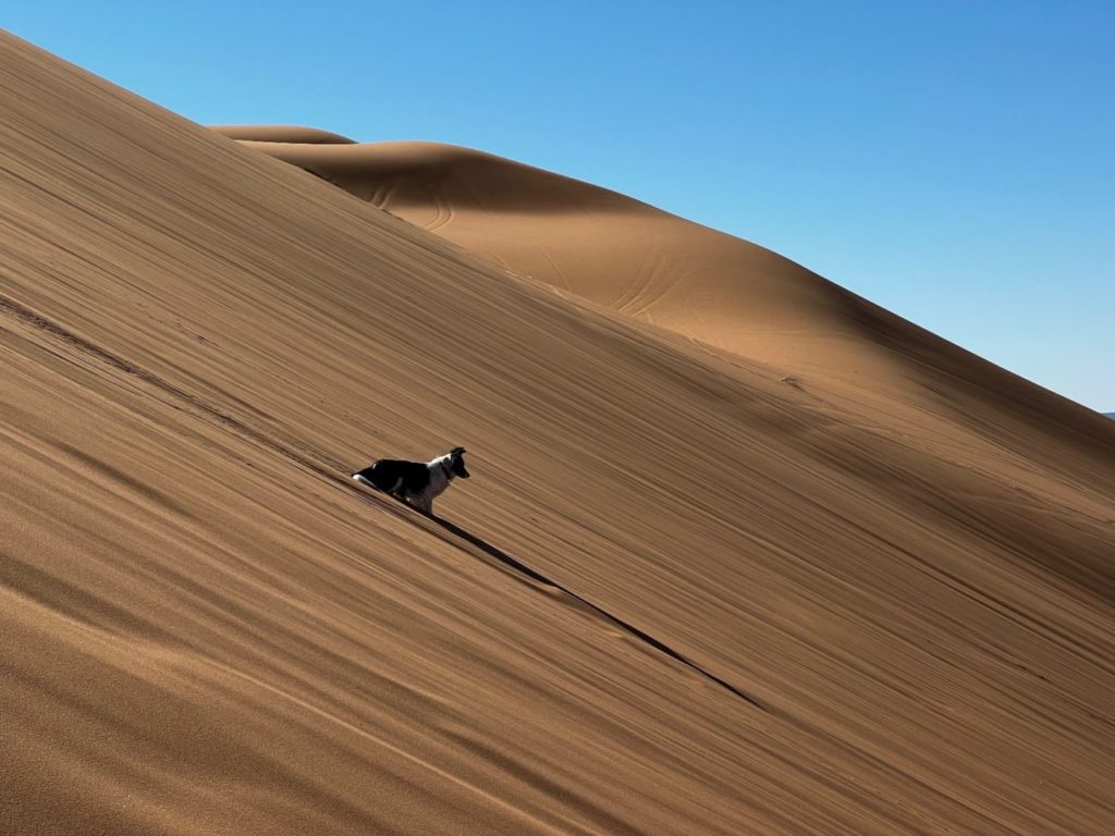 Atlasgebirge mit dem Wohnmobil 127 Sahara mit dem Wohnmobil