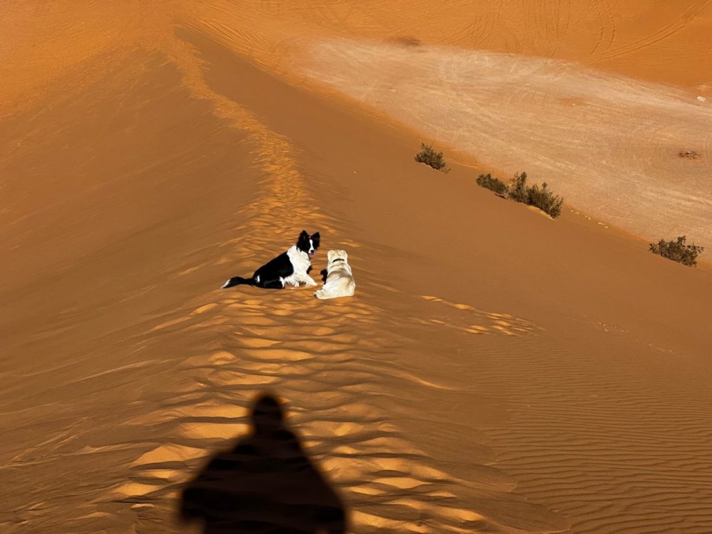Atlasgebirge mit dem Wohnmobil 129 Sahara mit dem Wohnmobil