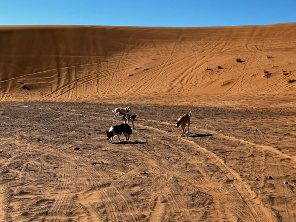 Atlasgebirge mit dem Wohnmobil 130 Sahara mit dem Wohnmobil